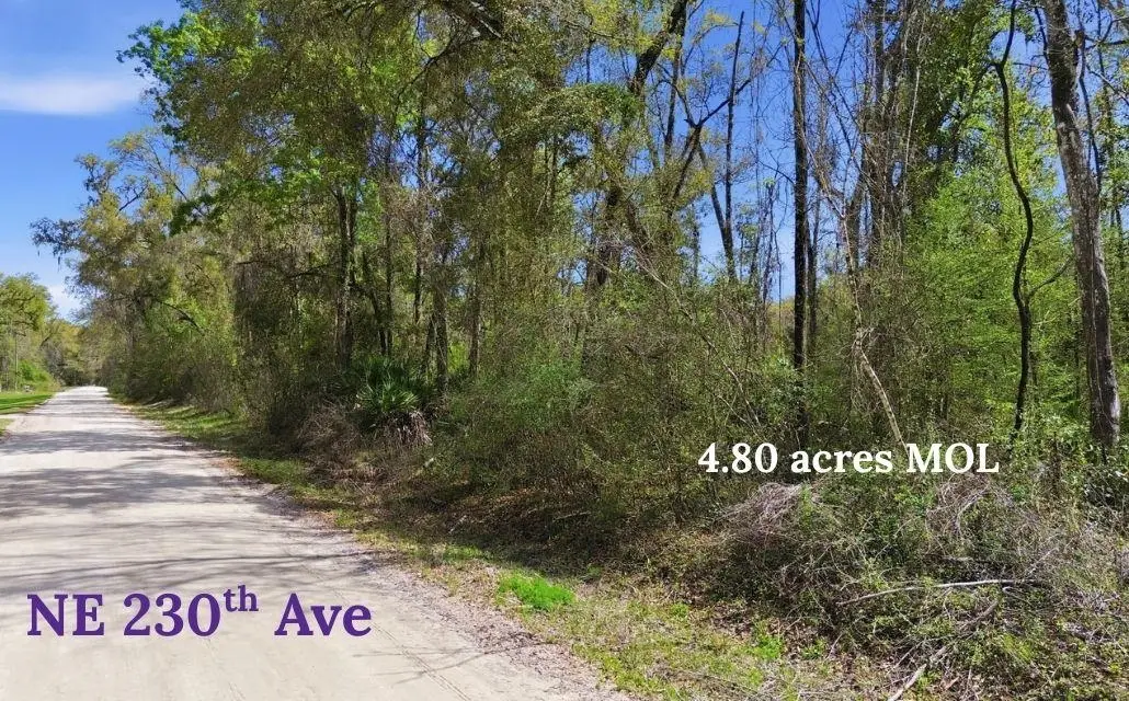 TBD 230th Avenue, Old Town, FL 32680 - #1