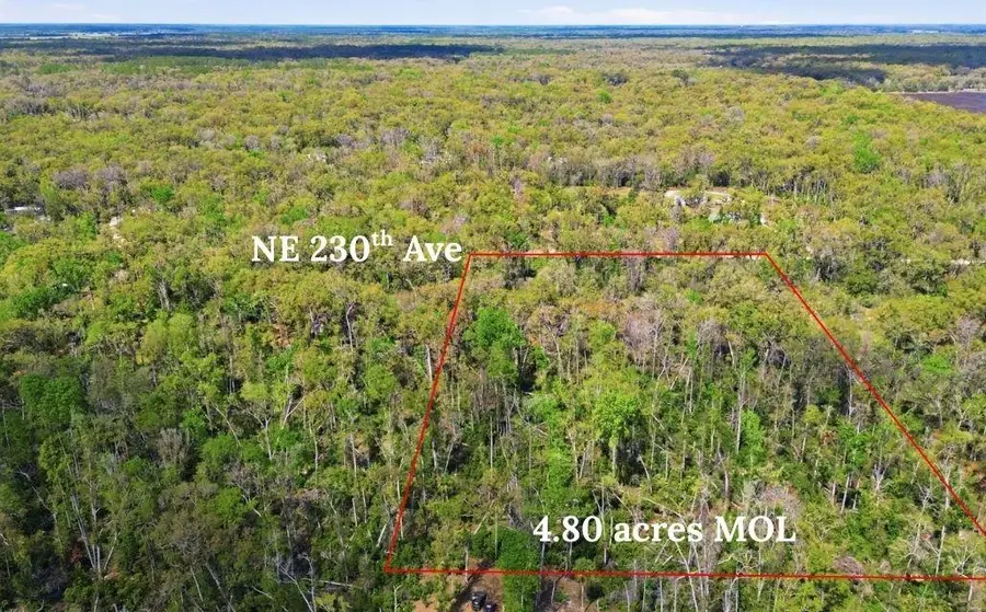TBD 230th Avenue, Old Town, FL 32680 - #3