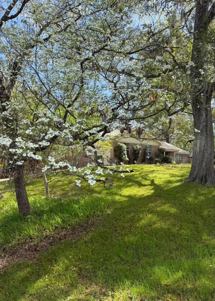 1115 Domingo Drive, Tallahassee, FL 32304 - #3