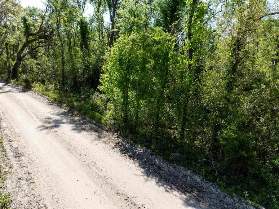 3756 Cash Road, Perry, FL 32348 - #2