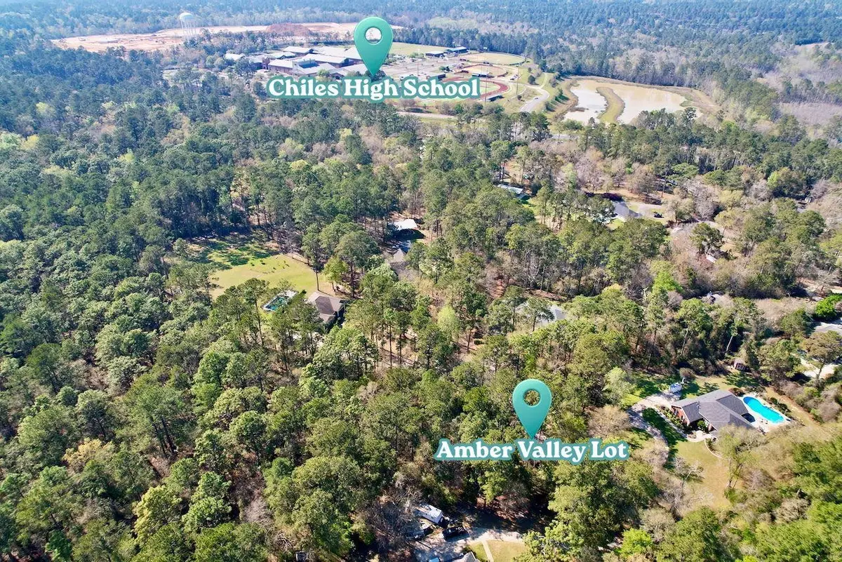 0 Amber Valley Drive, Tallahassee, FL 32312 - #1