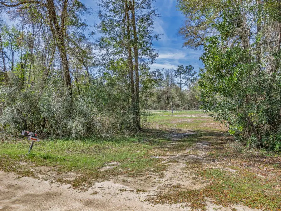 230 Basswood Drive, Crawfordville, FL 32327 - #3