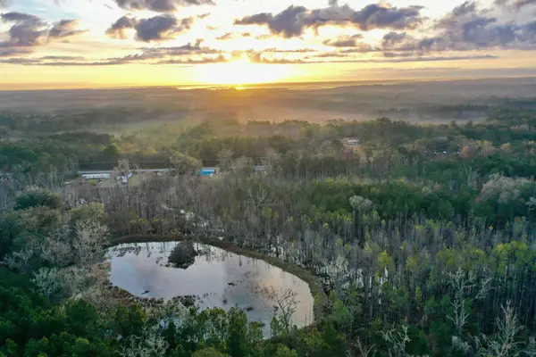 2909 N Shellman Bluff Road #2909 SHELLMAN BLUFF RD N, Other Georgia, GA 31331