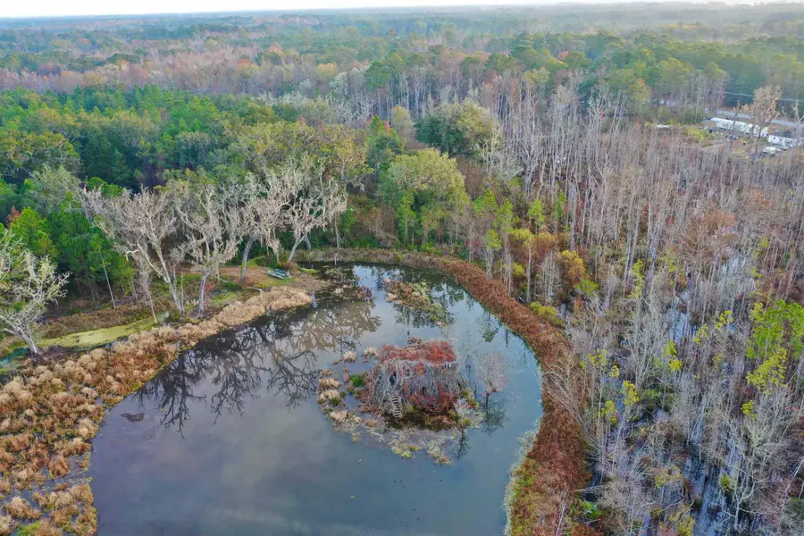 2909 N Shellman Bluff Road #2909 SHELLMAN BLUFF RD N, Townsend, GA 31331 - #3