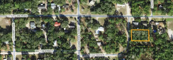 xx Lilly Avenue, Panacea, FL 32346