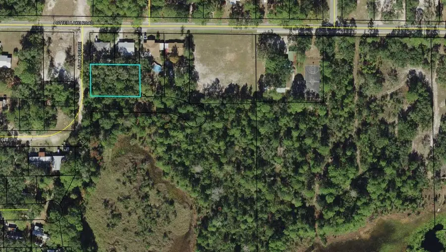 xx Lilly Avenue, Panacea, FL 32346 - #2