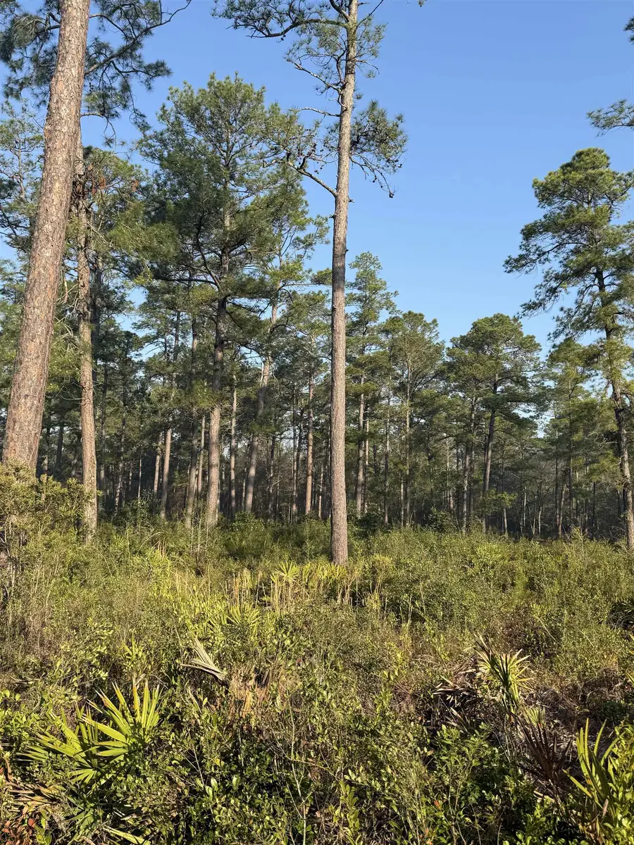 Lot 81 Proctor Road, Tallahassee, FL 32309 - #3