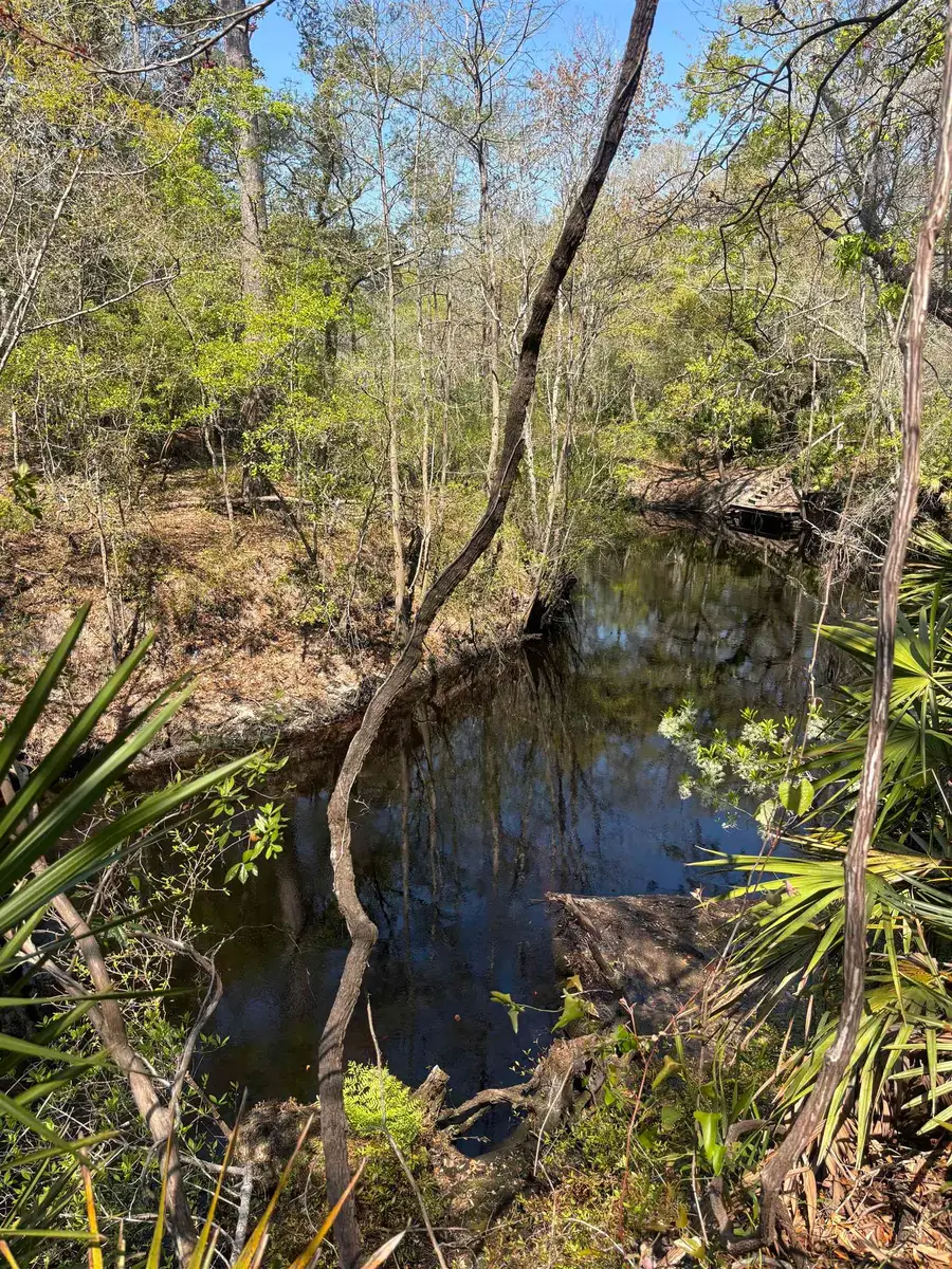 XX Fonigan Road, Sopchoppy, FL 32358 - #2