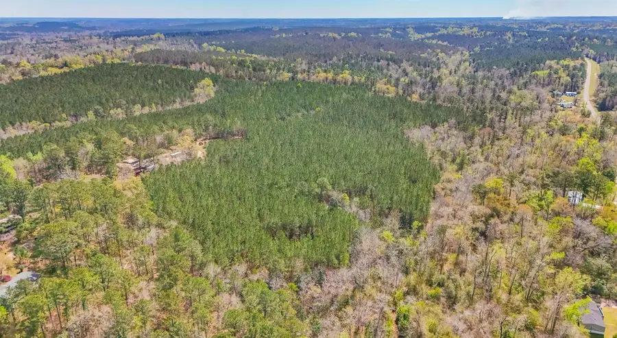 0 Lincoln Drive, Chattahoochee, FL 32324 - #2