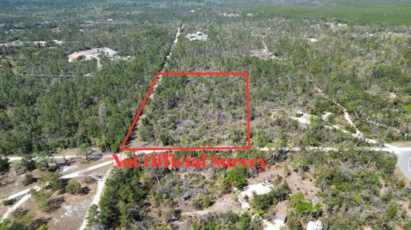 13169 S Stricklands Landing Drive, Perry, FL 32348