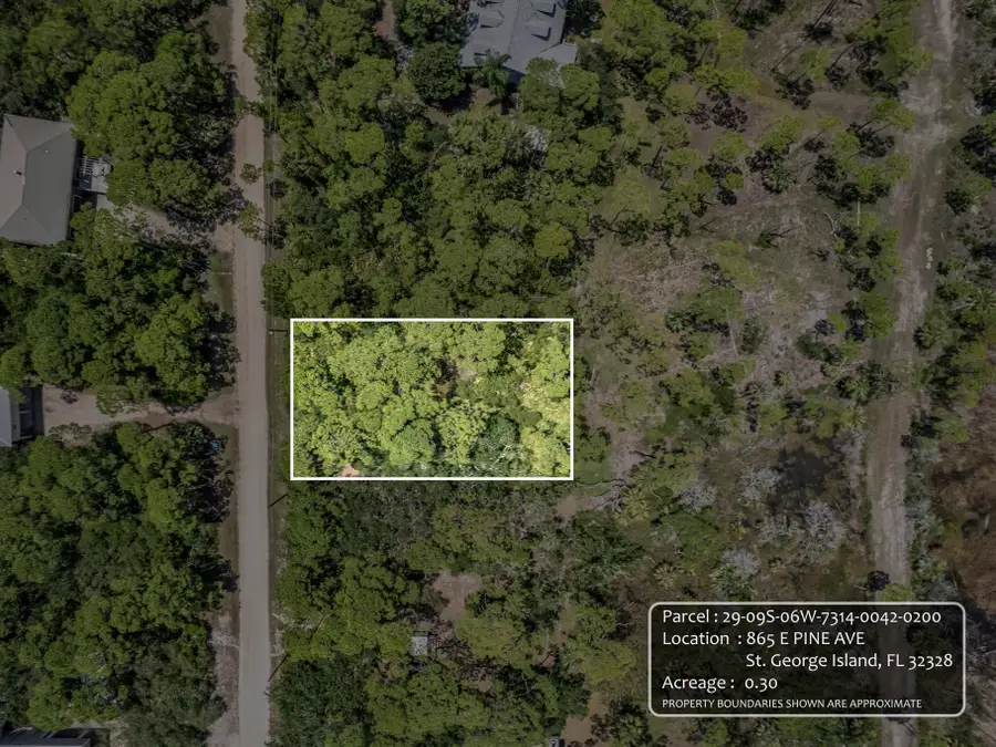 865 E Pine Avenue, Saint George Island, FL 32328 - #2