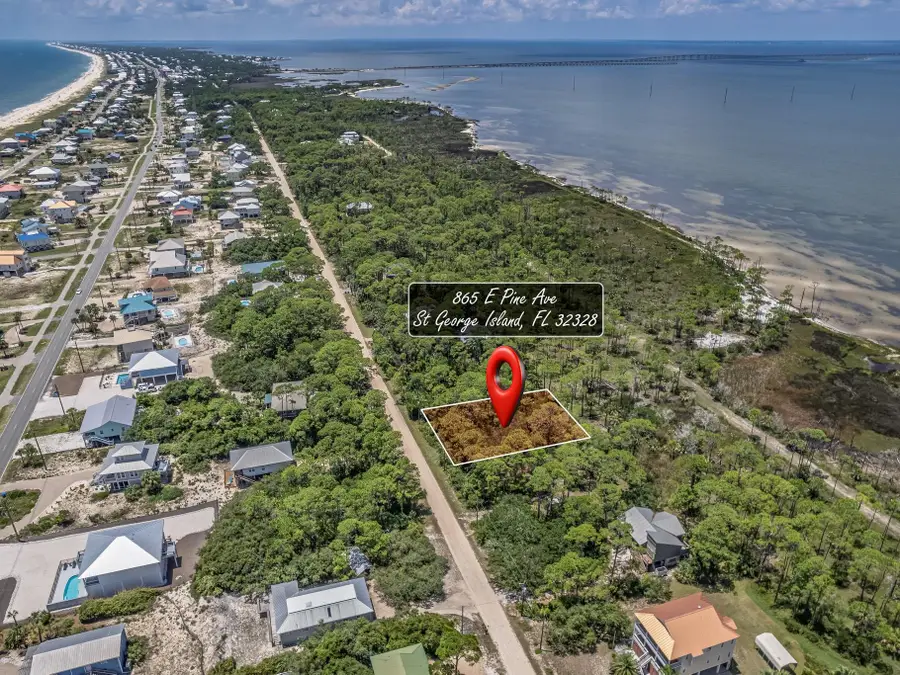 865 E Pine Avenue, Saint George Island, FL 32328 - #3