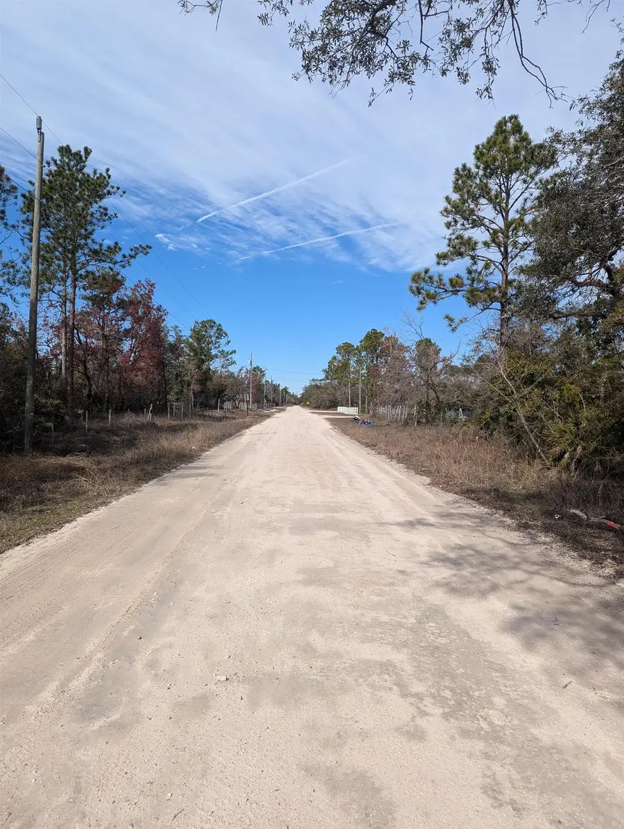 00 E Royal Oak Drive, Perry, FL 32348 - #2