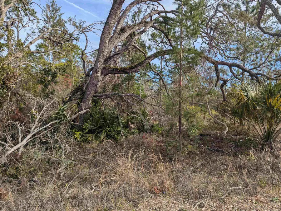 00 E Royal Oak Drive, Perry, FL 32348 - #3