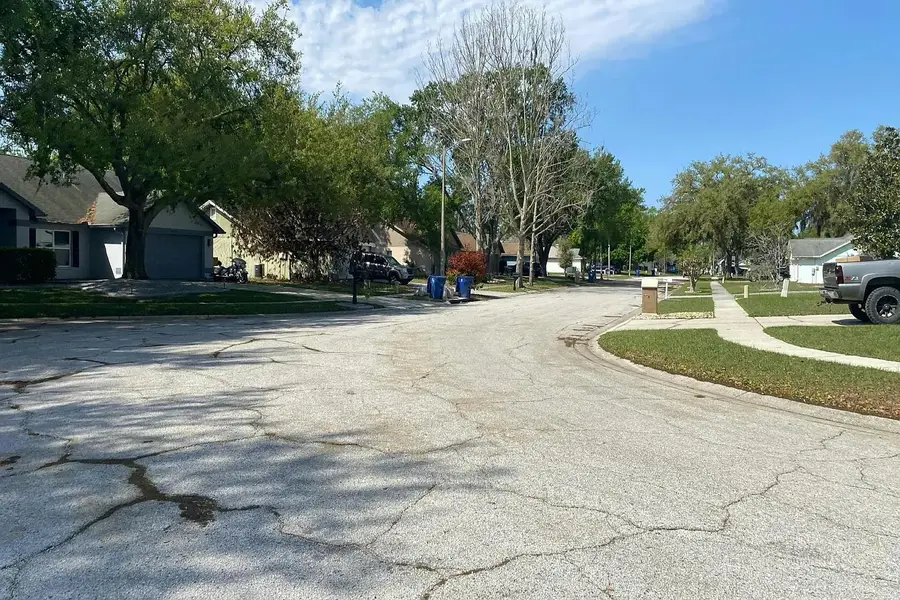 1302 Norwick Drive, Land O Lakes, FL 33559 - #3