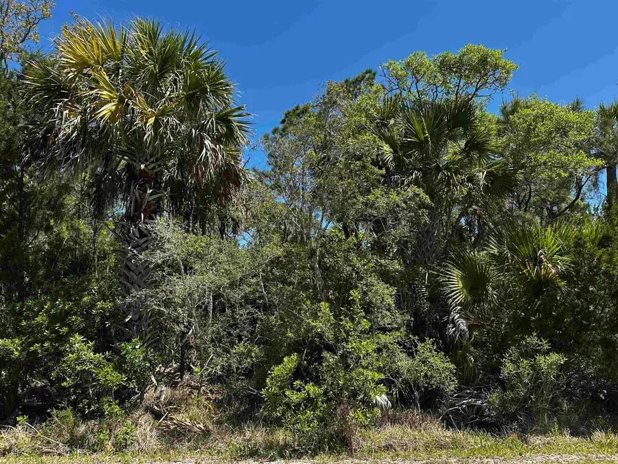 lot 14 Oyster Bay Drive #2, Crawfordville, FL 32327 - #2