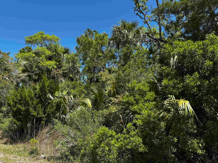 lot 14 Oyster Bay Drive #2, Crawfordville, FL 32327 - #3