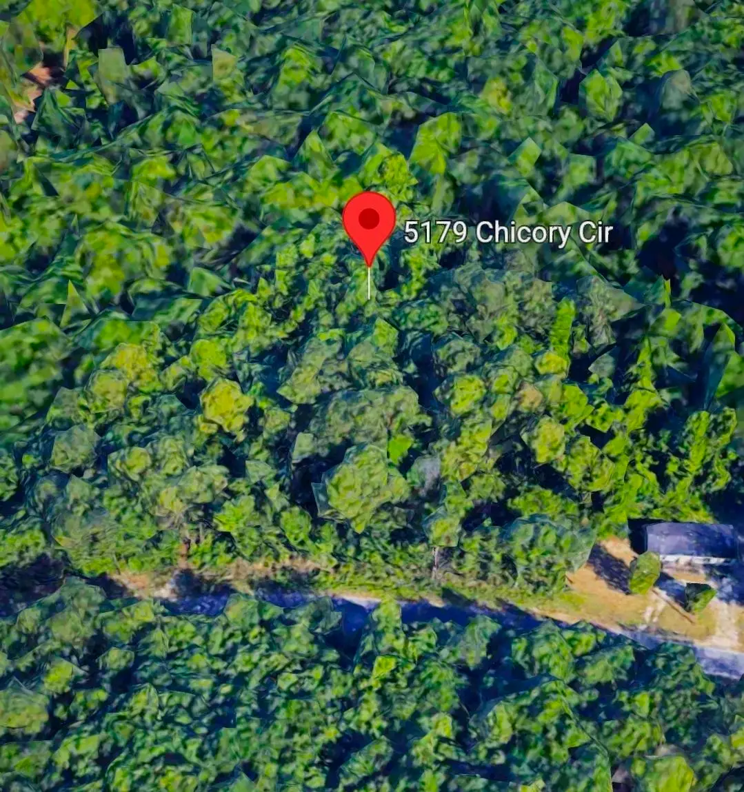 5179 Chicory Circle, Middleburg, FL 32068 - #1