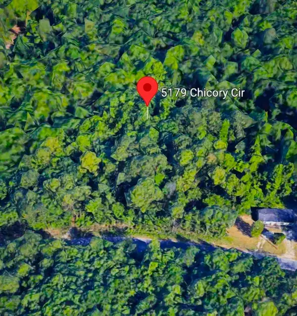 5179 Chicory Circle, Other Florida, FL 32068