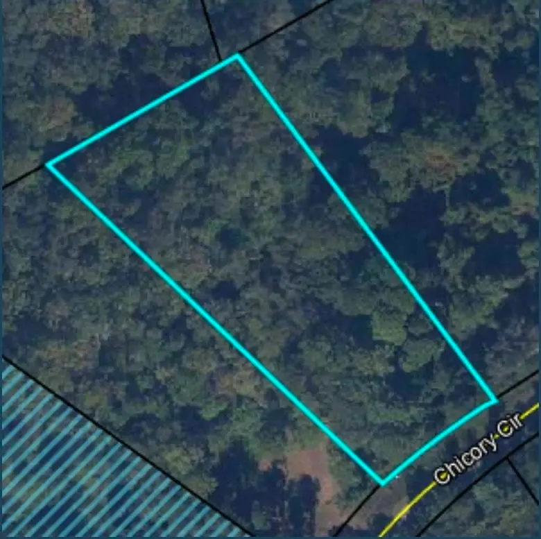 5179 Chicory Circle, Middleburg, FL 32068 - #3