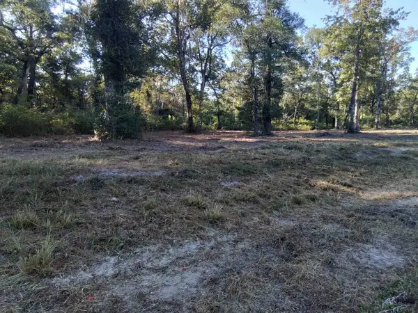 Lot 90 Coastal Highway 98, Crawfordville, FL 32327