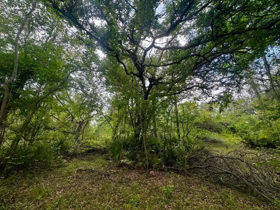 3084 NE Chervil Drive, Lee, FL 32059 - #2