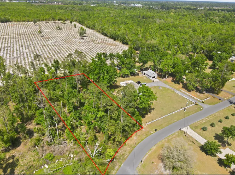 503 Judson Drive, Perry, FL 32348 - #2