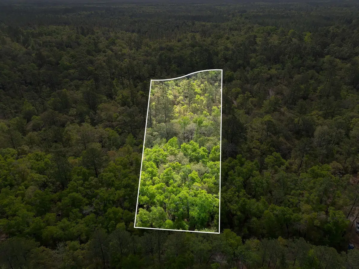 xxx Clay Revell Road, Sopchoppy, FL 32358 - #1