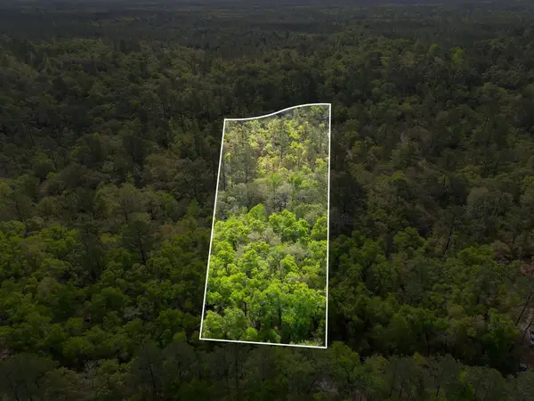 xxx Clay Revell Road, Sopchoppy, FL 32358