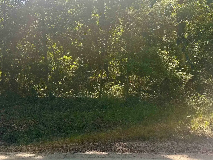 Chicopee Road, Crawfordville, FL 32327 - #2