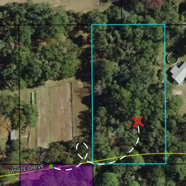 xx White Drive, Crawfordville, FL 32327
