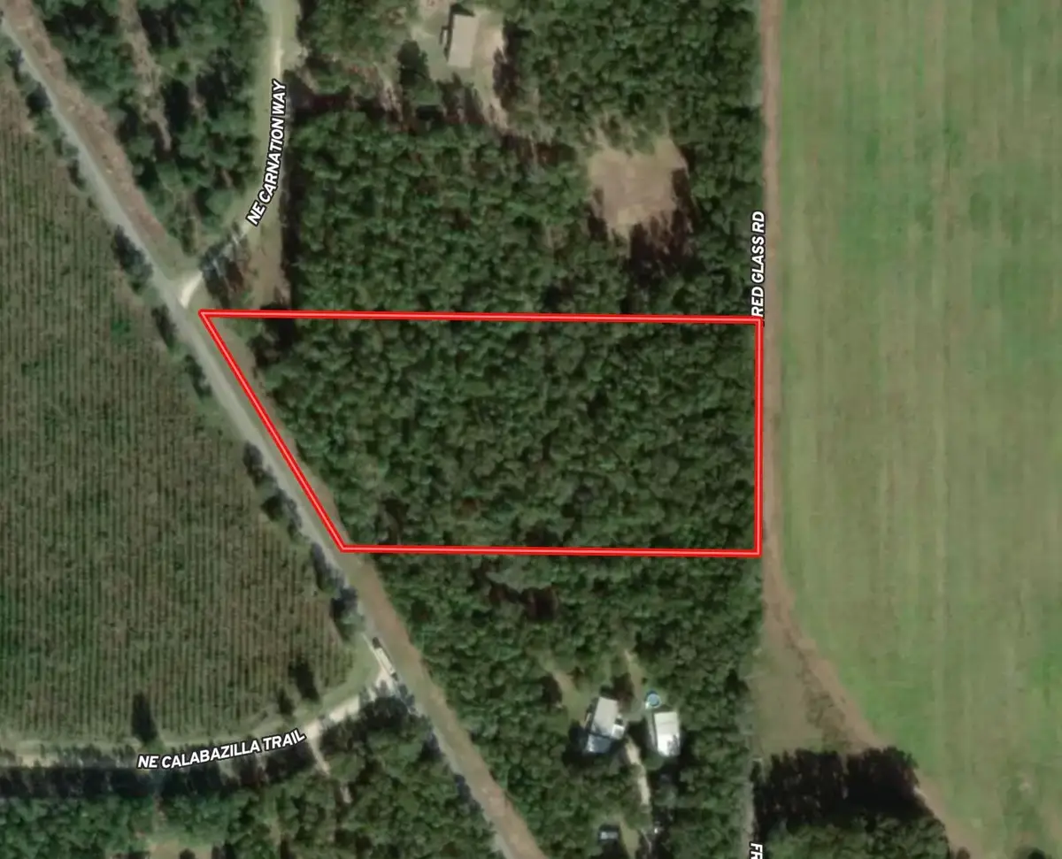 5386 NE Old Blue Springs Road, Lee, FL 32059 - #1