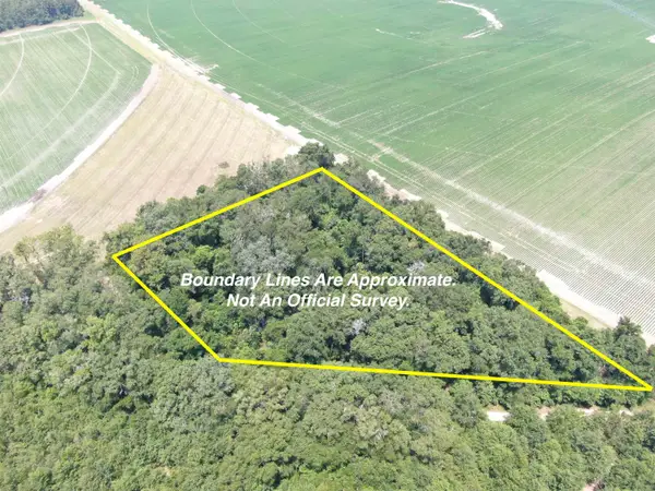 Vacant NE Chervil Drive, Lee, FL 32059