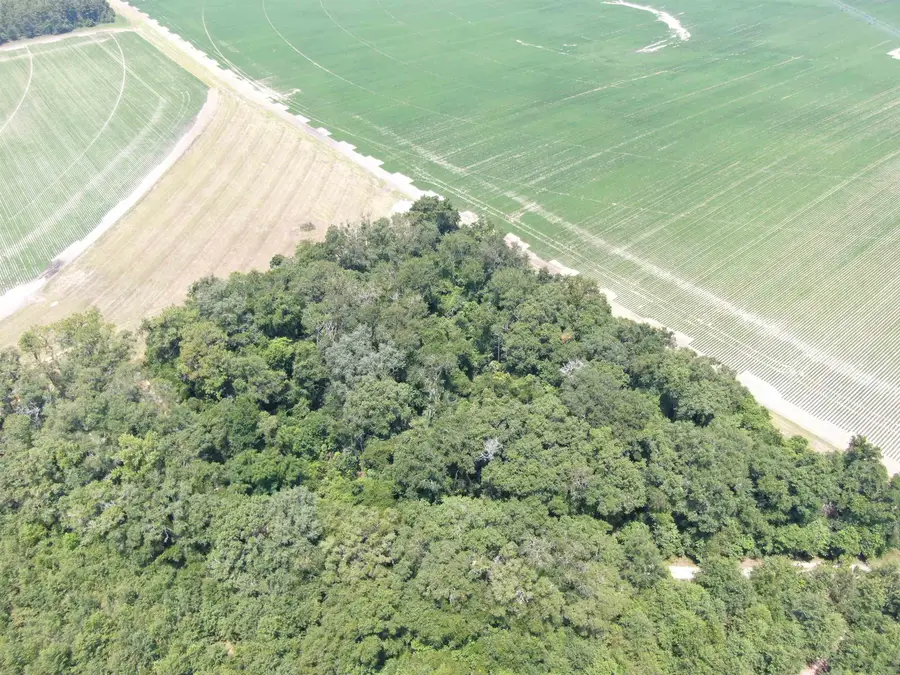 Vacant NE Chervil Drive, Lee, FL 32059 - #2