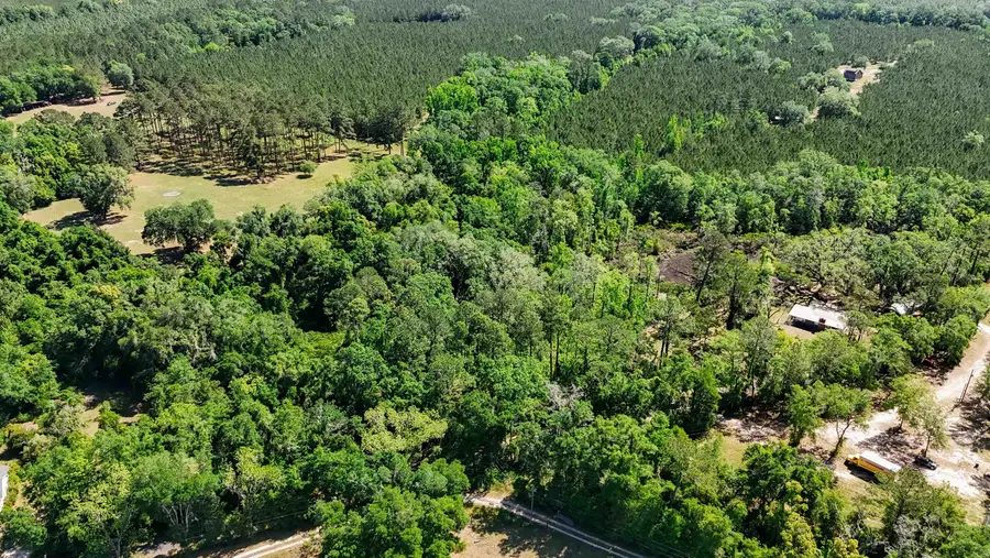 XXX Hopson Road, Monticello, FL 32344 - #2