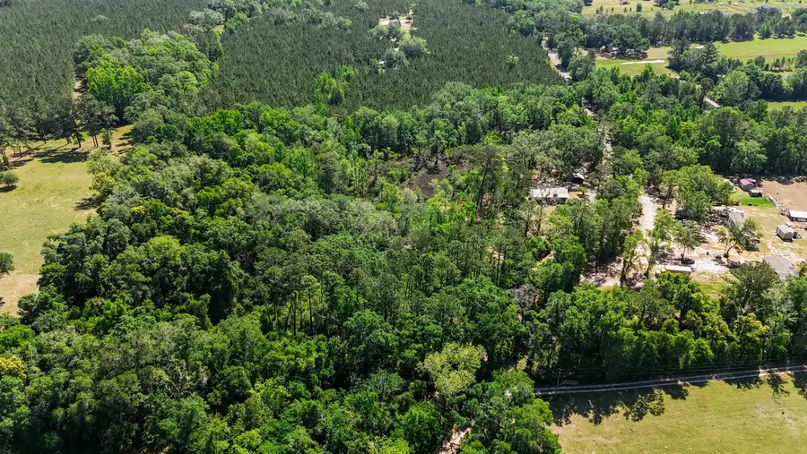 XXX Hopson Road, Monticello, FL 32344 - #3