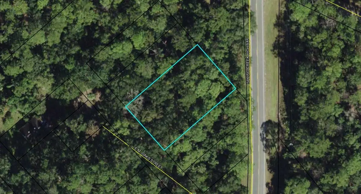 xx E.m. Oaks Street, Crawfordville, FL 32327 - #1