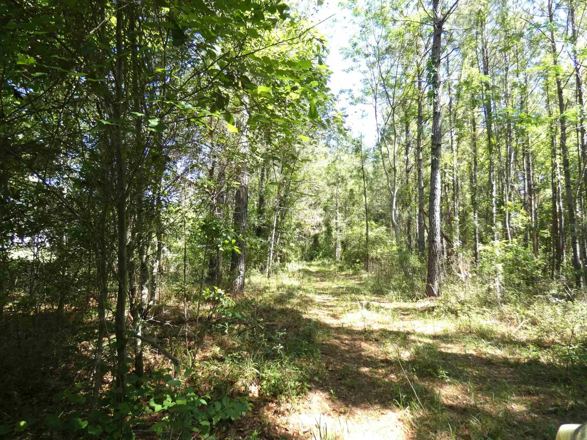 1310 Piney Woods Road, Monticello, FL 32344 - #1
