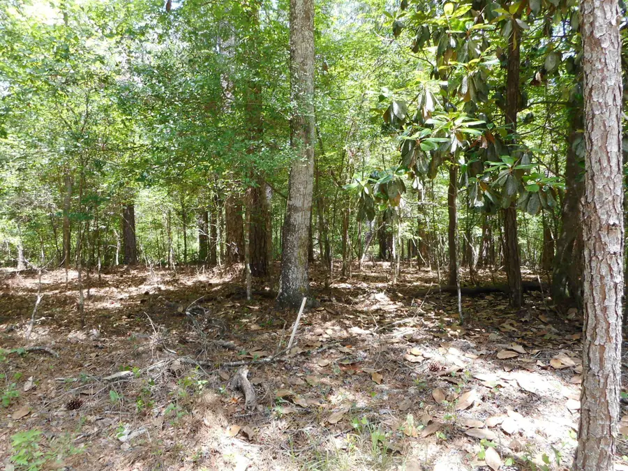 3820 Tallavana Trail, Havana, FL 32333 - #3