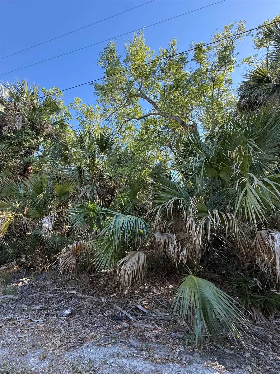 Lot 20 Blue Dolphin Drive, Crawfordville, FL 32327 - #3