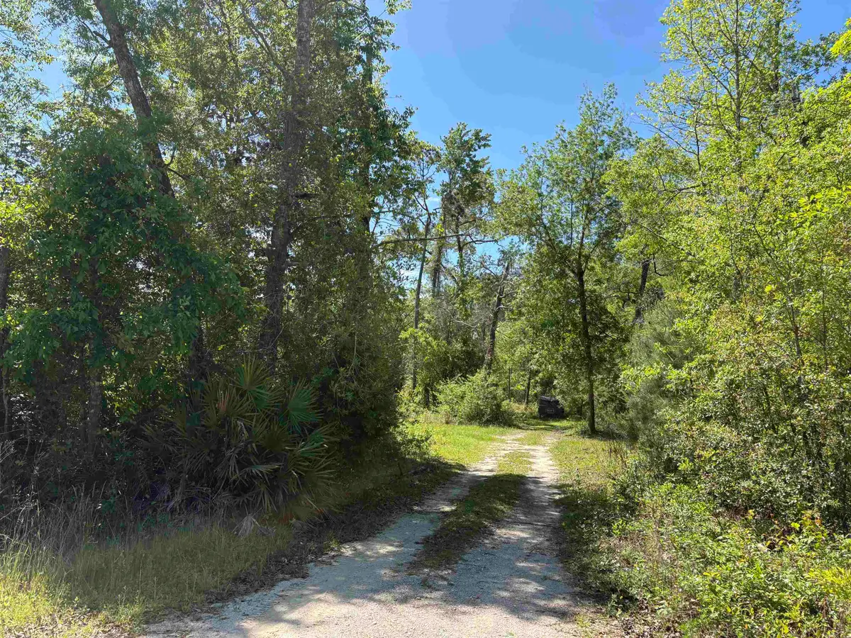 146 Rudolph Ln, Monticello, FL 32344 - #1