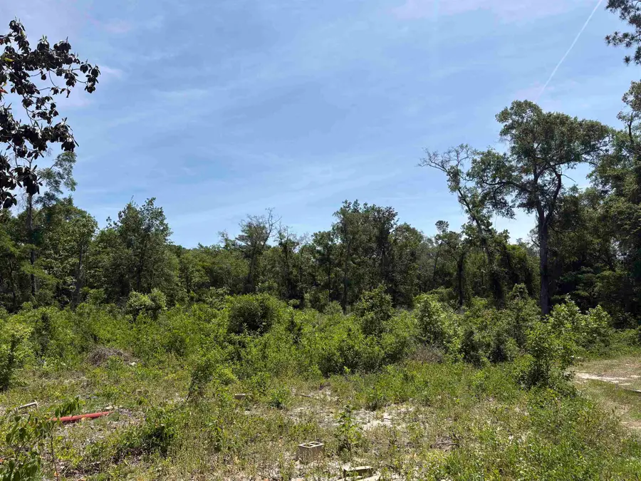 146 Rudolph Ln, Monticello, FL 32344 - #2