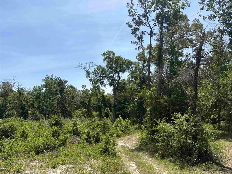 146 Rudolph Ln, Monticello, FL 32344 - #3