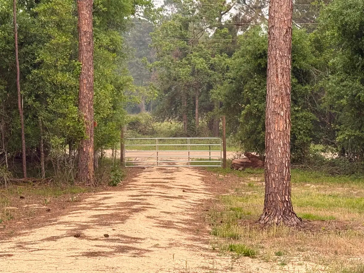 455 NE Blue Ridge Landing Avenue, Lee, FL 32059 - #1