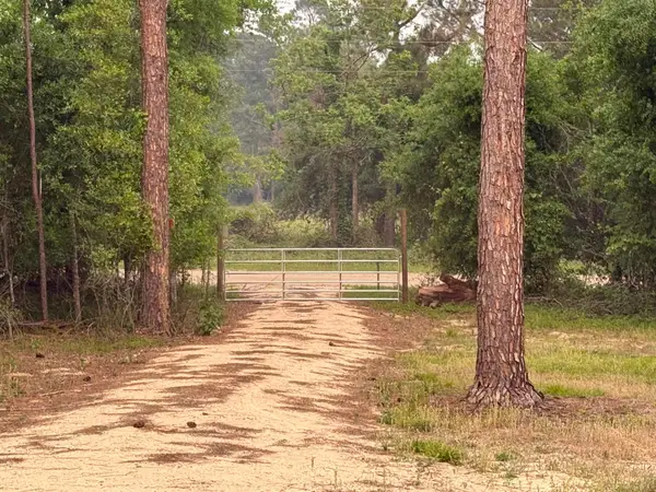 455 NE Blue Ridge Landing Avenue, Lee, FL 32059