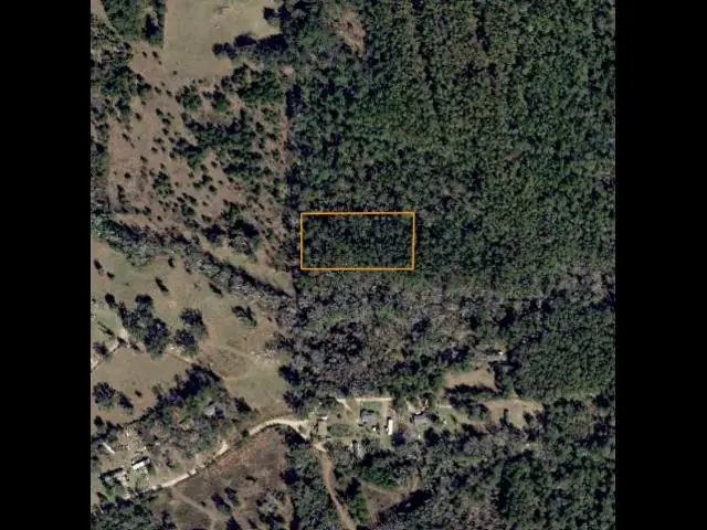 XX Driftwood Court, Tallahassee, FL 32317 - #2