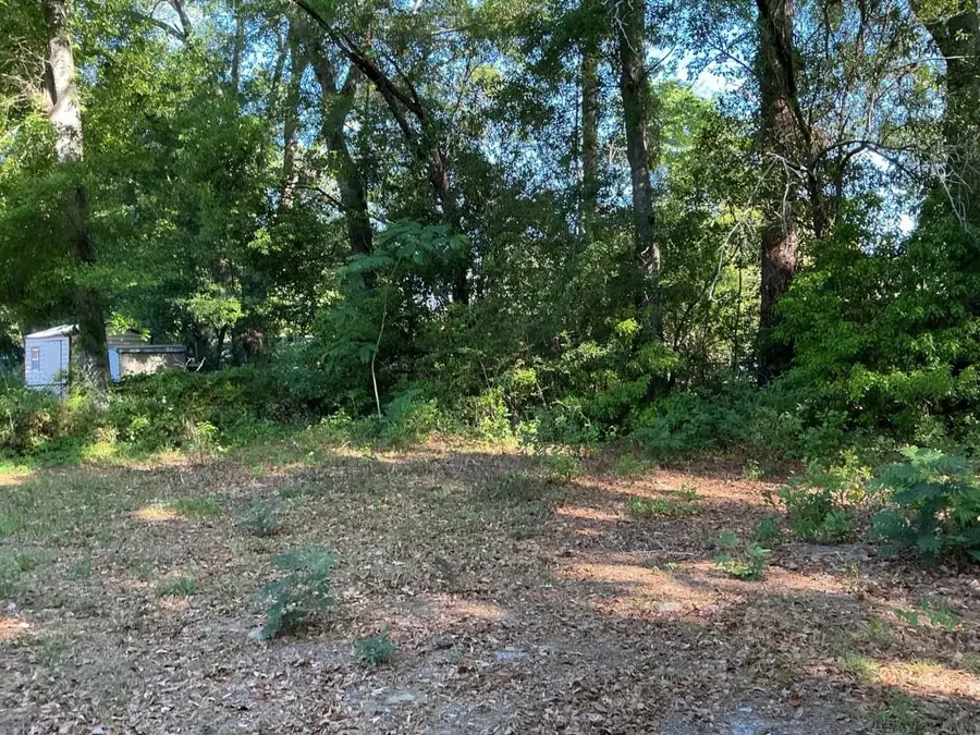 822 Apache Street, Tallahassee, FL 32301 - #2