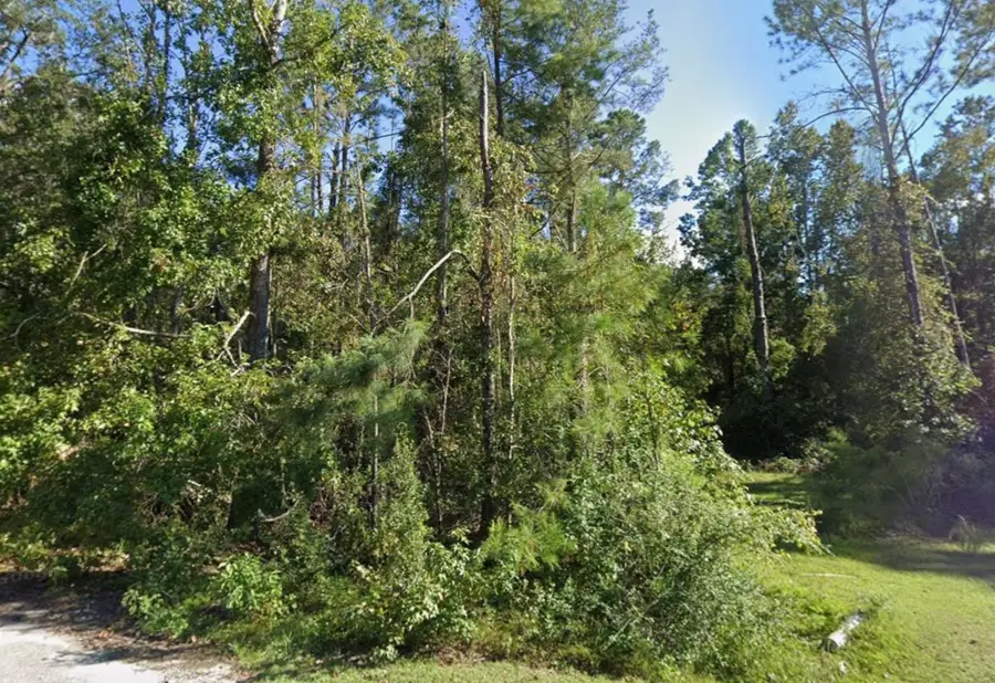 Roger Hamlin Road, Tallahassee, FL 32311 - #2