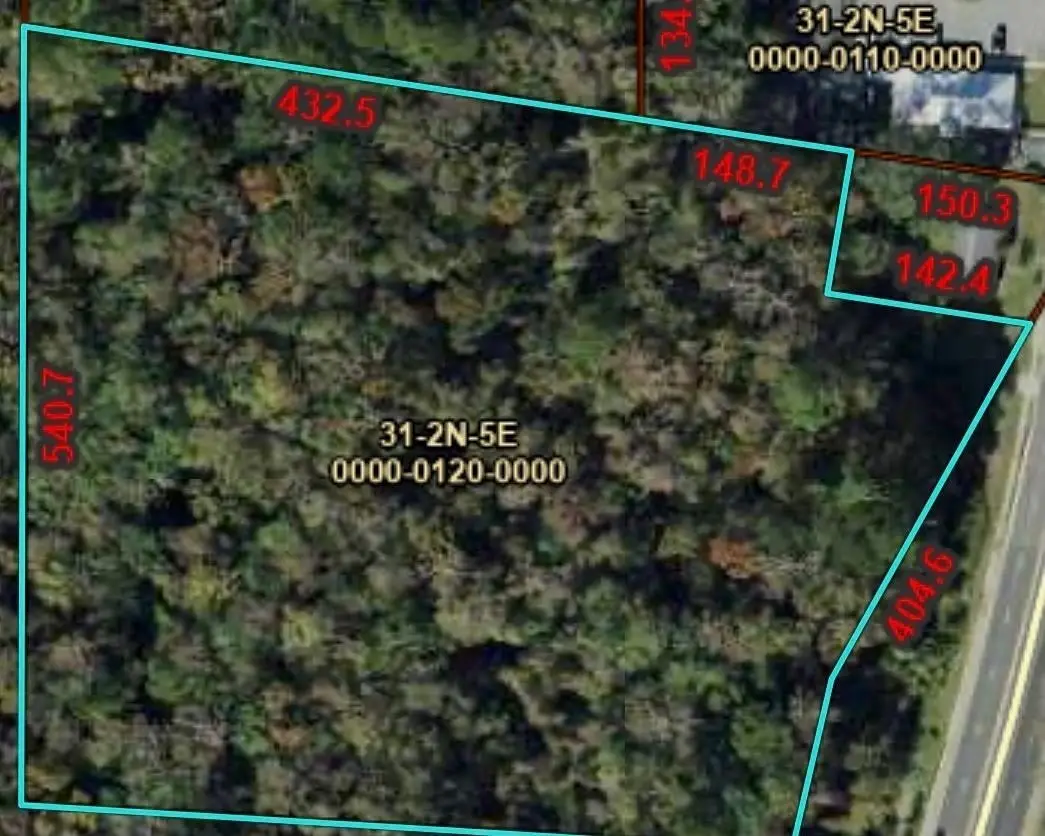 1407 S Jefferson Streets, Monticello, FL 32344 - #1