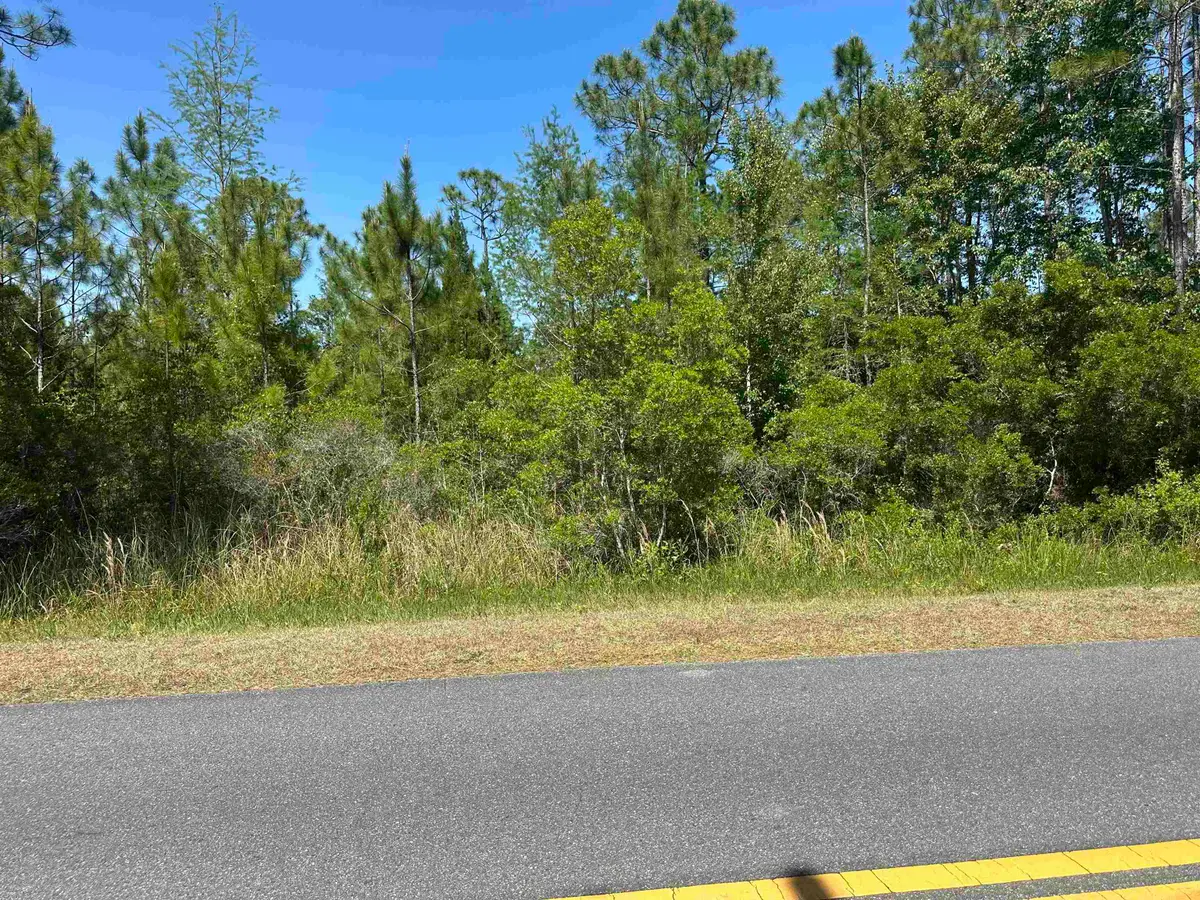 Xx20 Mill Road, Carrabelle, FL 32322 - #1